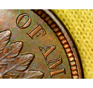 1906-Indian-Head-Penny--Grade?