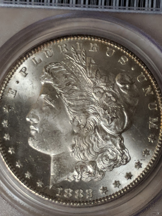 1882-Morgan-CC-Just-Got-In-Today.