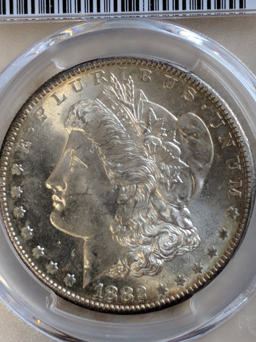 You-Vs-PCGS,-Actually-Bought-From-Expensive-Website--2-Morgans