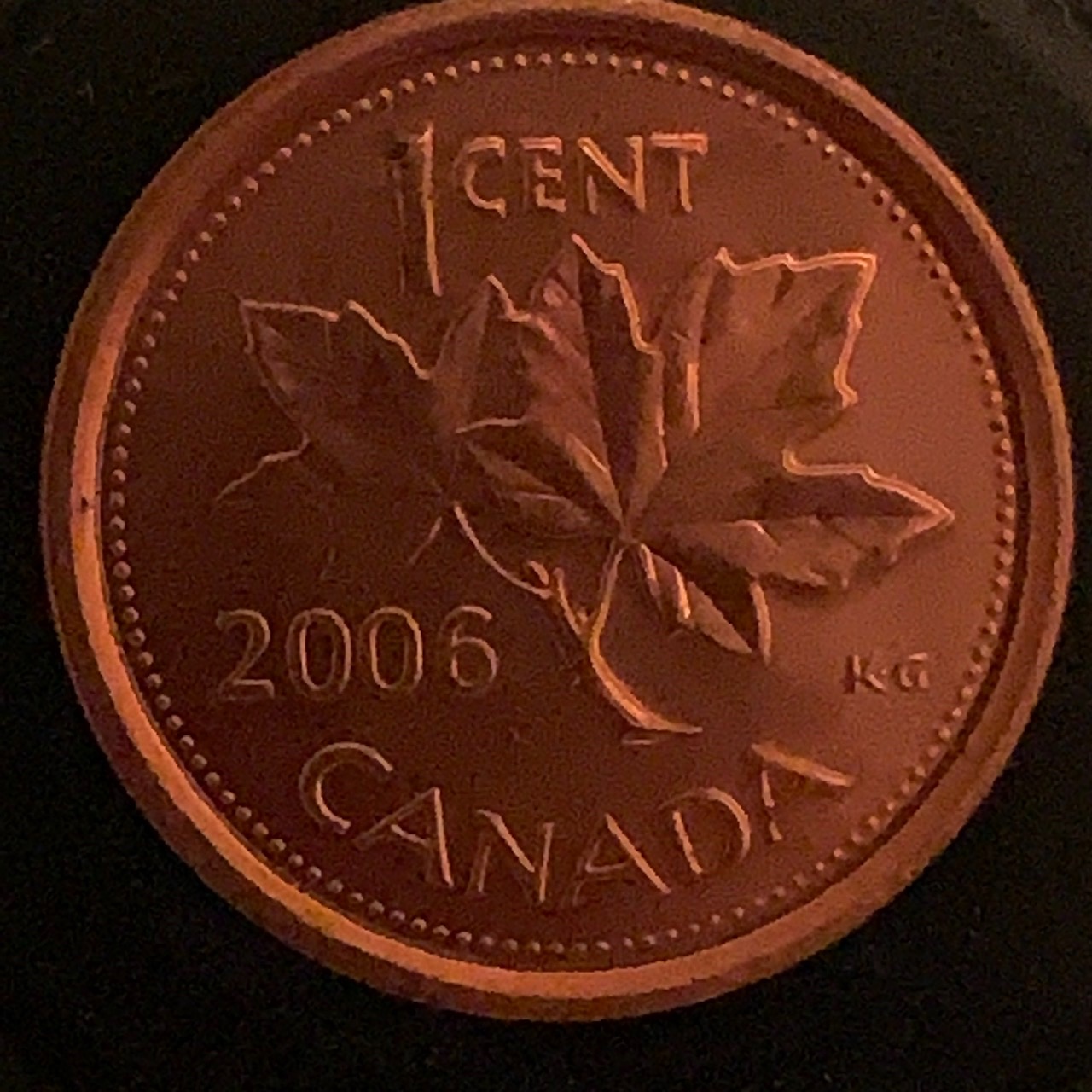 Question-About-What-To-Do-With-Nice-Coins