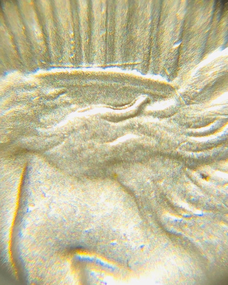1925-Peace-Dollar-Tiara-Die-Gouge?