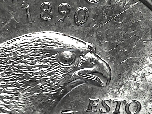 2007-P-Idaho-State-Quarter-Die-Chip-Error-Or-Extra-Eye