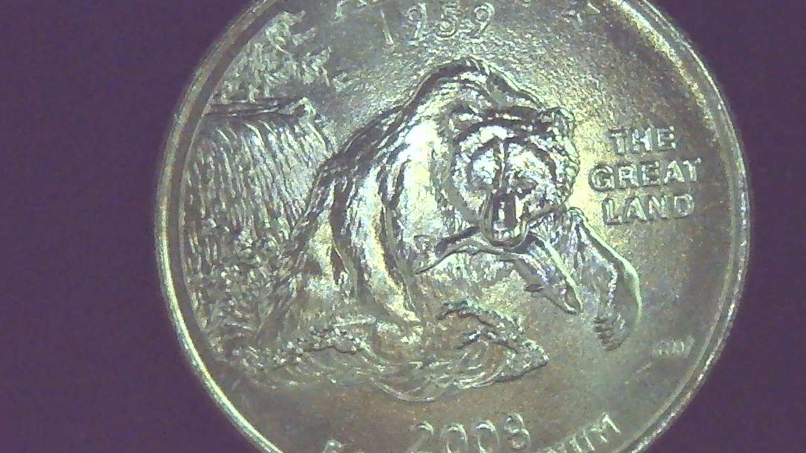 2008-P-Washington-Quarter-Alaska-Die-Chip-On-Bear-Claw/