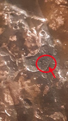 1983-D-Over-D-Possible-Double-DenominationalHeat-Damage-Outside-Of-Mint