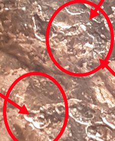 1983-D-Over-D-Possible-Double-DenominationalHeat-Damage-Outside-Of-Mint