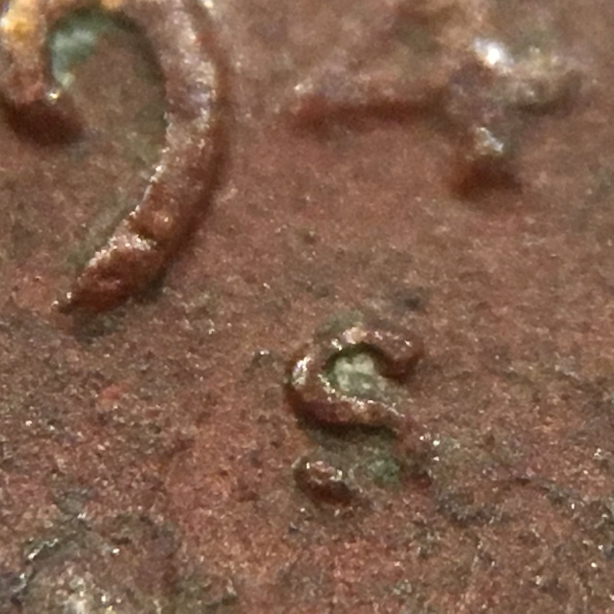 1946-S-Cent-W/-Inverted-Mintmark?