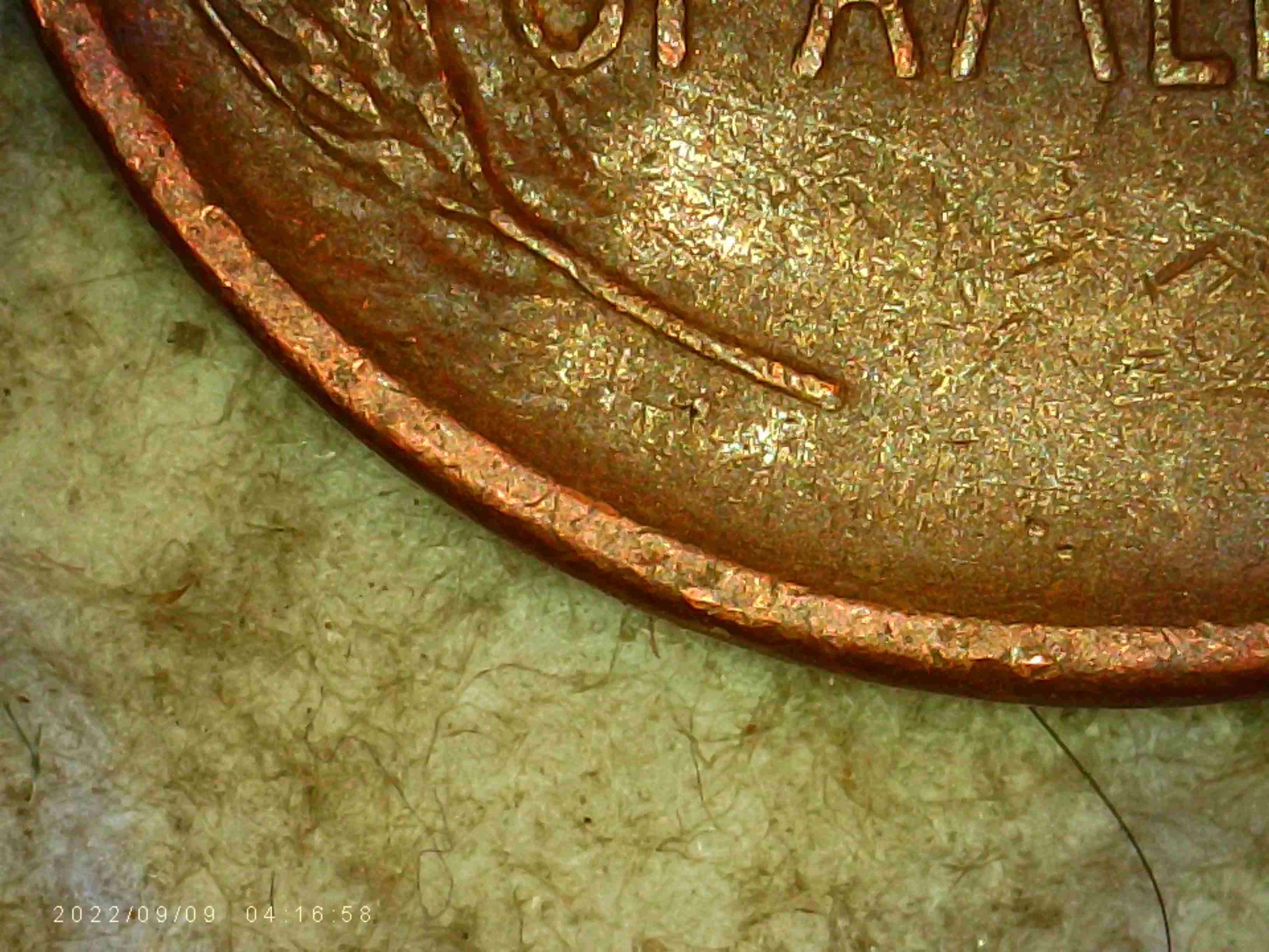 1952-S-LWC-DDR-On-Wheat-Stalks?-Looks-Like-It-To-Me.