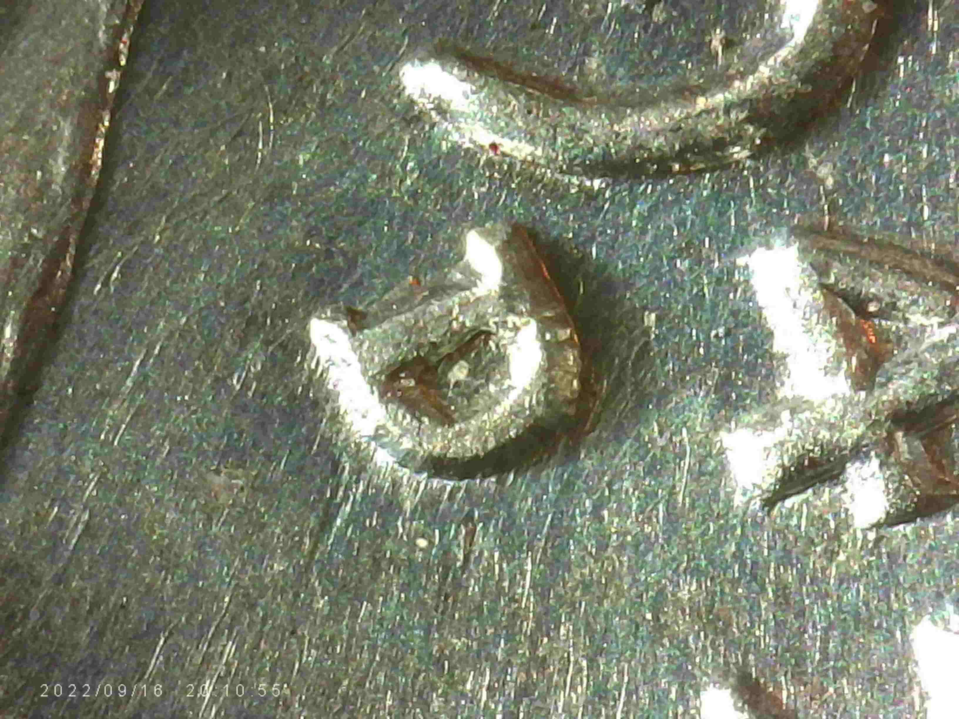 1943-D-LWC--I-Think-It's-WDDO-001-And-This-One-Has-RPM-I-Think-Need-Some-Help?