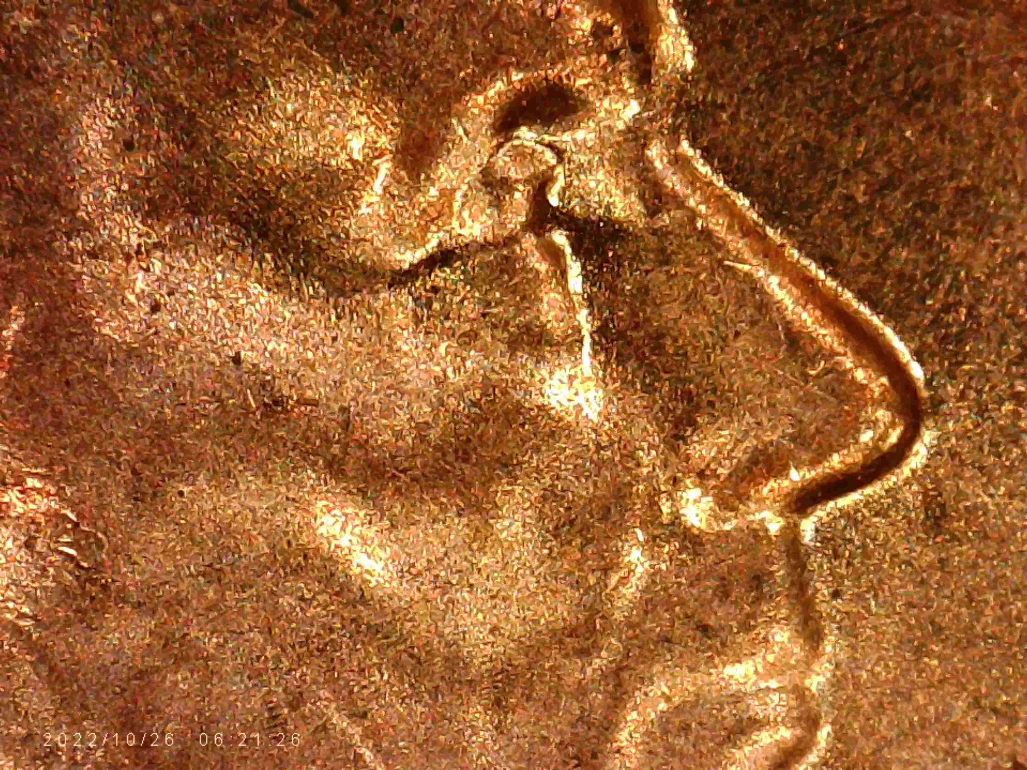 2022.-LSCd.this-One-Looks-Like-DDO.-What-Do-You-Think?thanks-Bentpenny