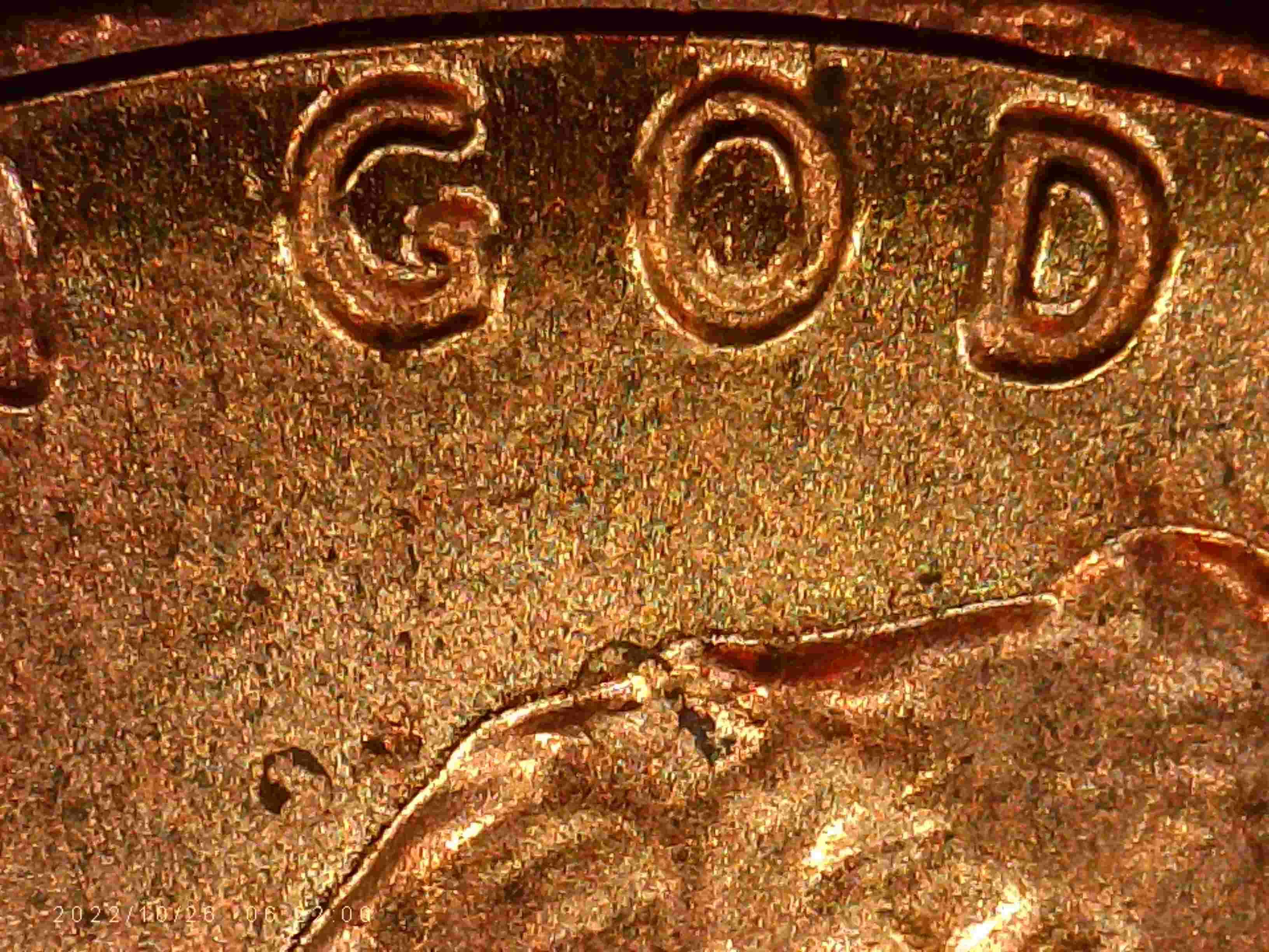 2022.-LSCd.this-One-Looks-Like-DDO.-What-Do-You-Think?thanks-Bentpenny