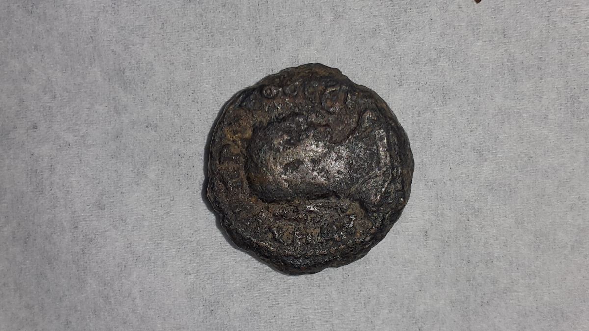 Think-Roman-300-Ad-Egypt-So-What-You-Think-Real-Or-Fake!?