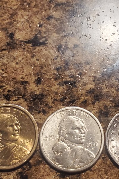 Sacagawea-Error-On-Susan-B-Anthony--Any-Info-Will-Be-Great