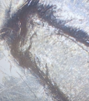 Just-Found-This-1971-D-Kennedy-Half-Dollar-Missing-Th-F-G-Initials-As-Far-As-I-Can-Tell.