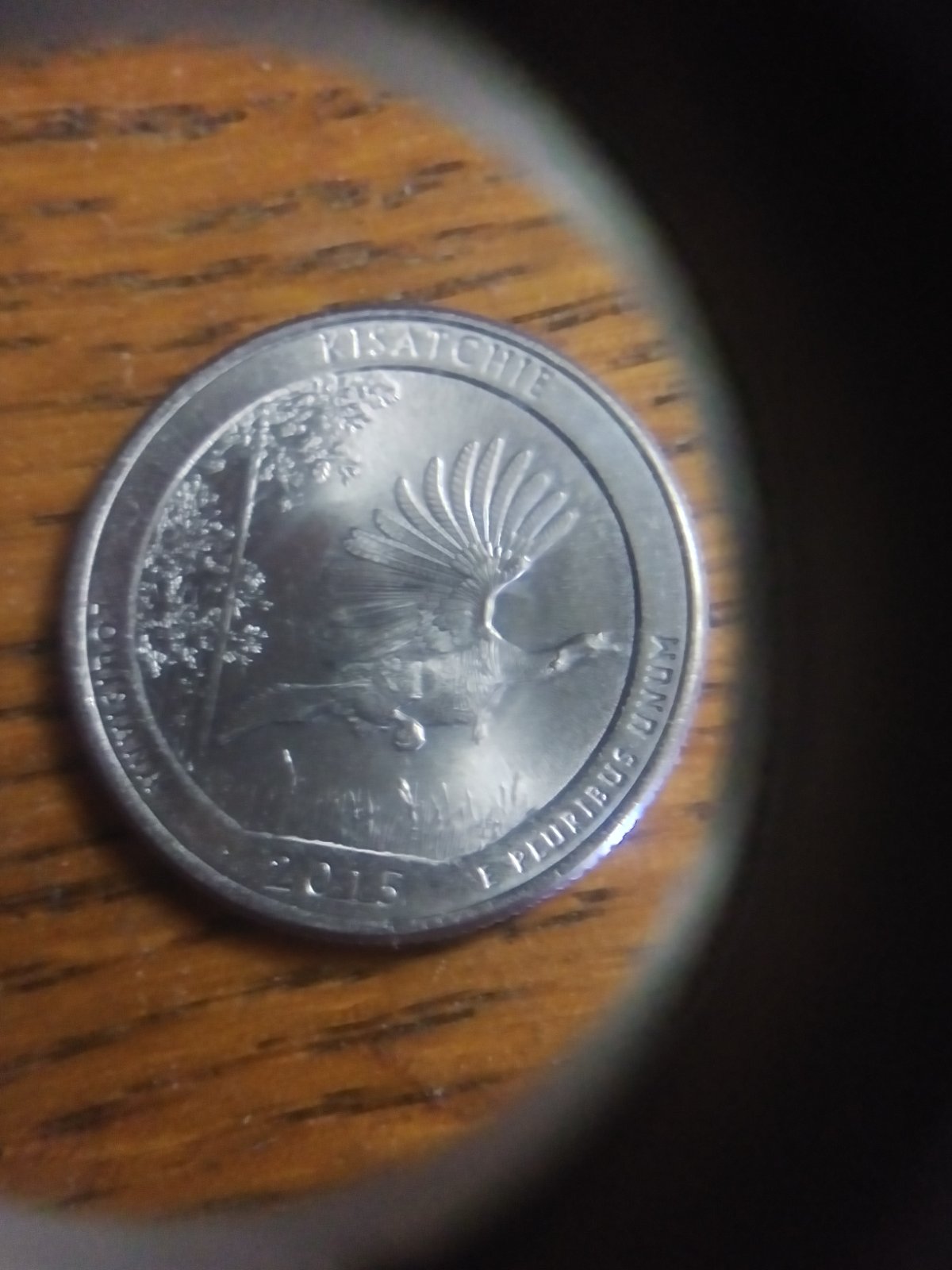 2015-P-Louisiana-DDD?