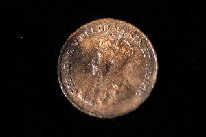 Woody's,-Wood-Toned-Coins---I'll-Show-You-Mine-If-You-Show-Me-Yours!