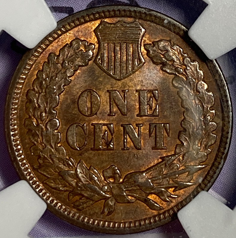1895-IHC---You-Vs-NGC---Your-Grade?