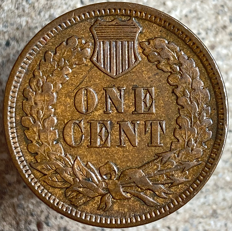 1894-Indian-Cent---Looks-Like-I-Bought-A-Pig-In-A-Poke