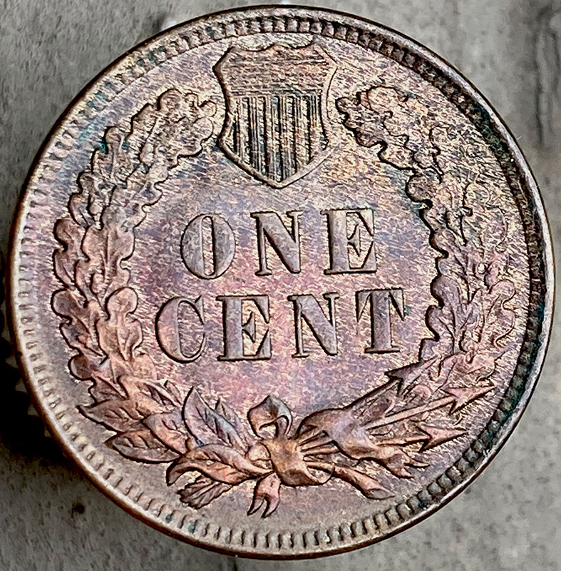 1908-Indian-For-Grading-And-Comments