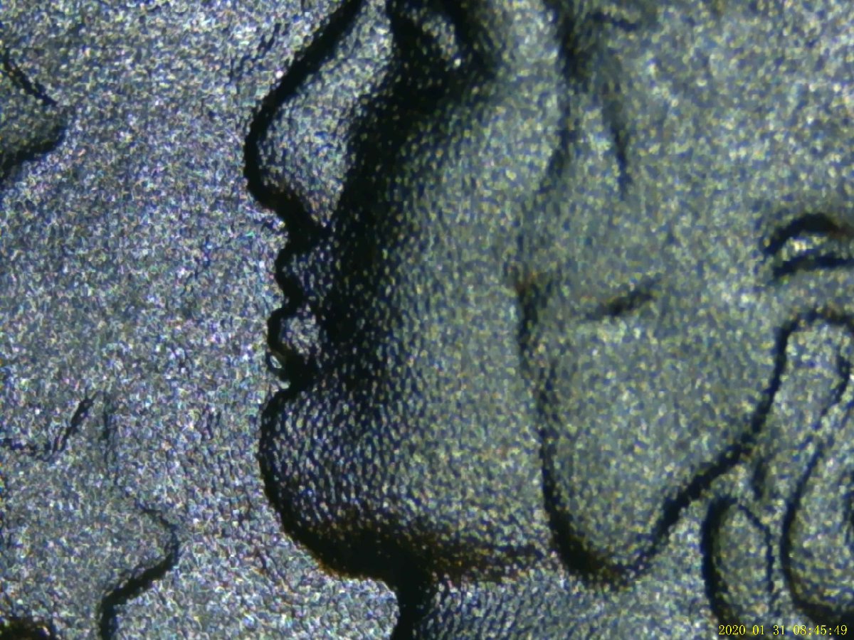 What-The-Heck-Is-On-Lady-Liberty's-Lip?