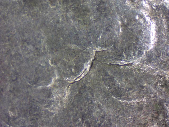 1985-Quarter-Ear-DD-Or-MD?