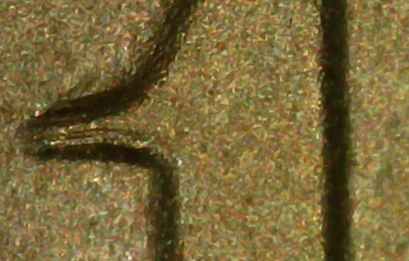 1986-Liberty-Silver-Dollar---Possible-DDO?