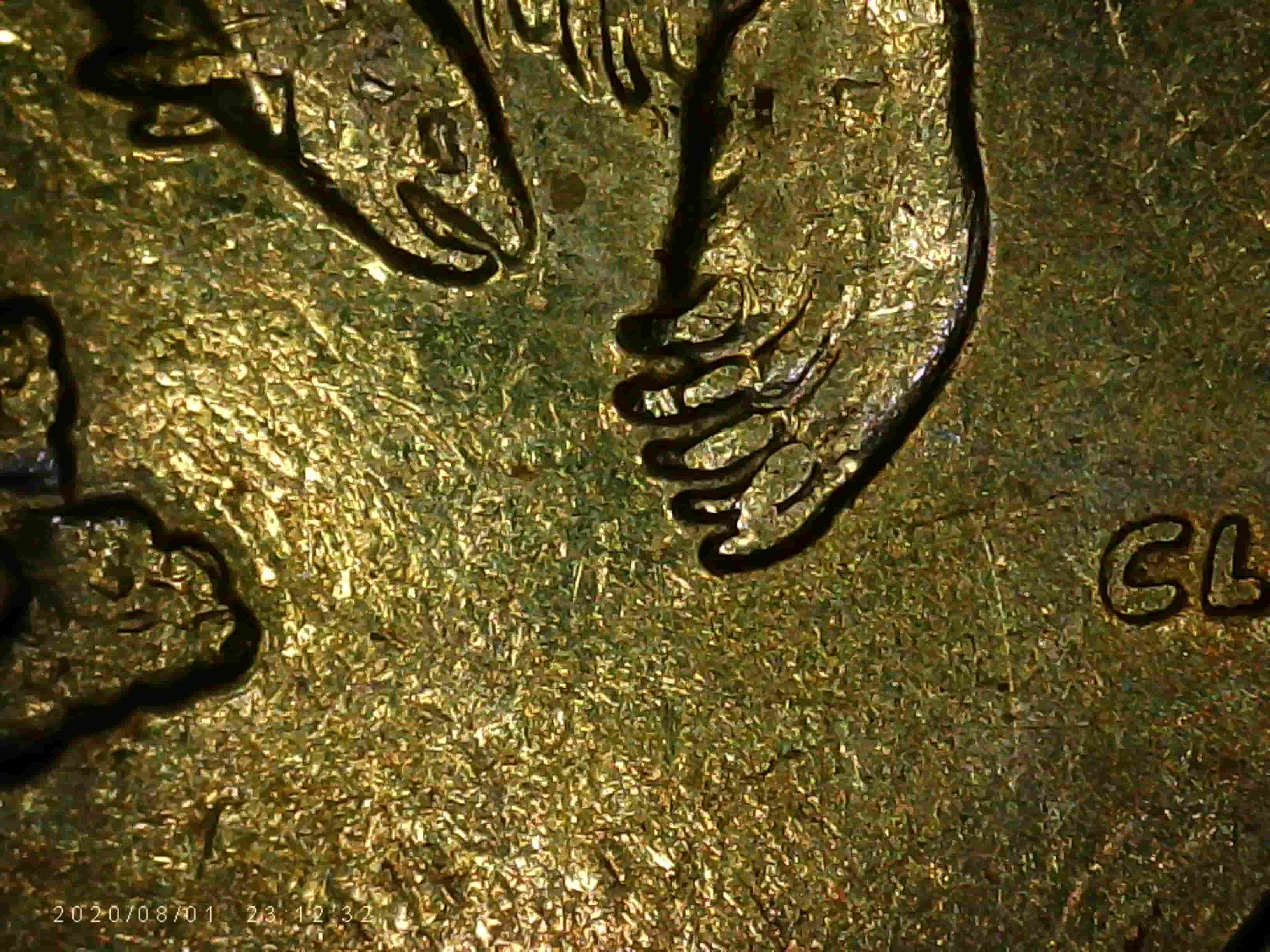 2008-P-Alaska-Quarter---Is-This-An-Extra-Claw-On-Reverse-Or-A-Die-Chip?