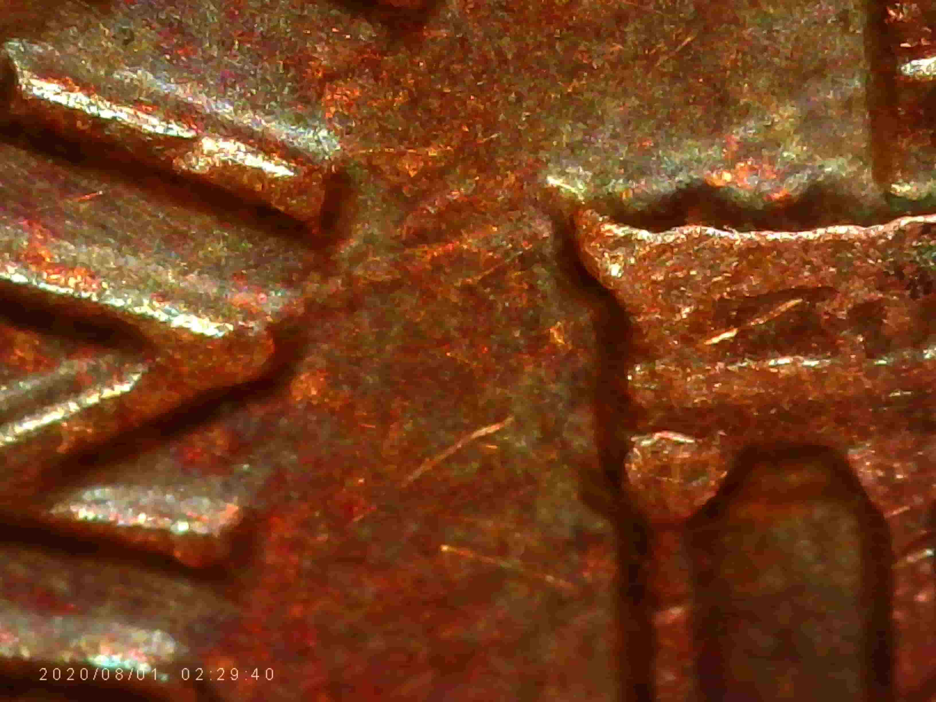 1984-P-Penny---WDDO-011?