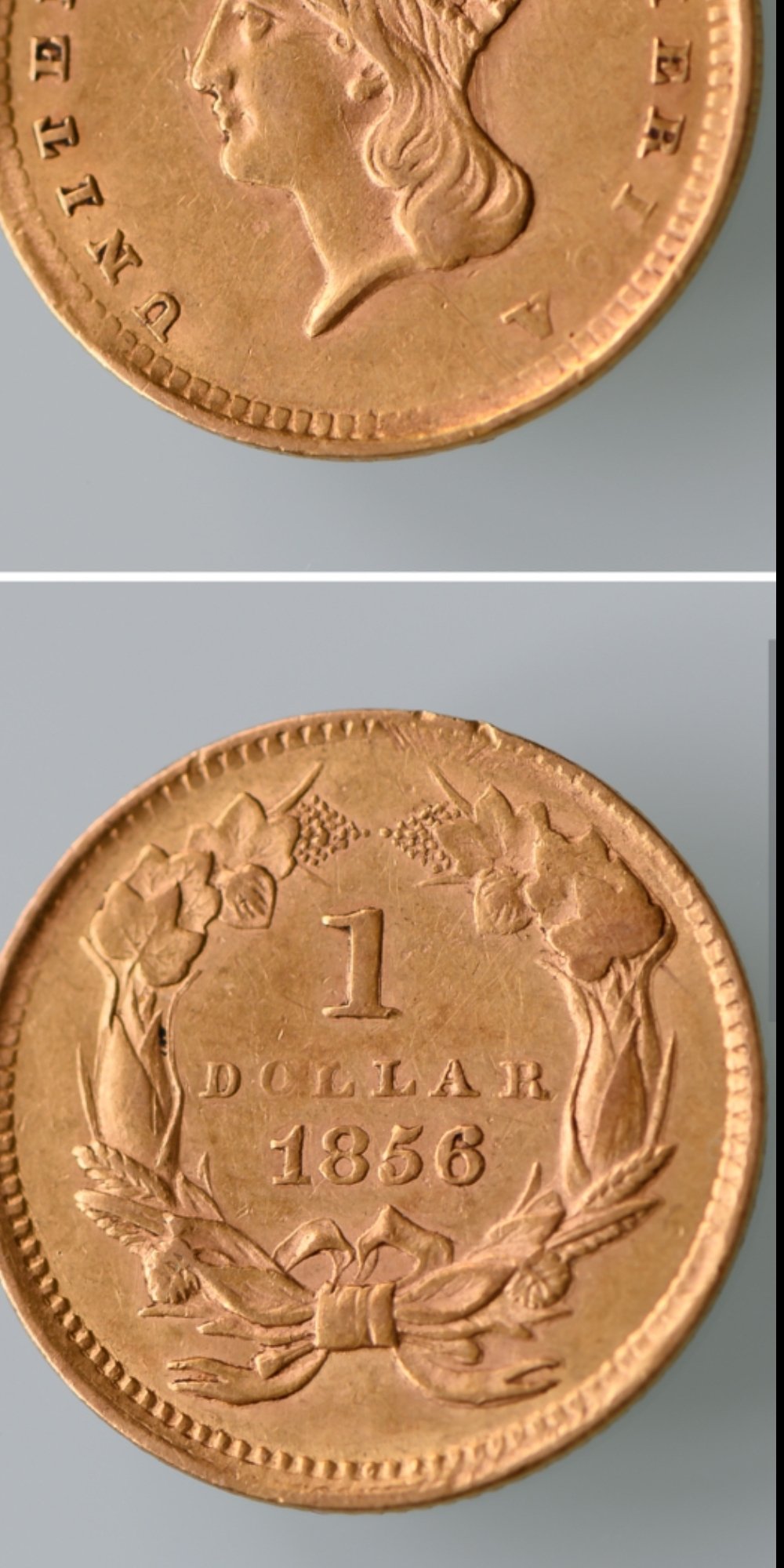 Indian-Princess-1856-Coin-Worn-Or-Print-Error?