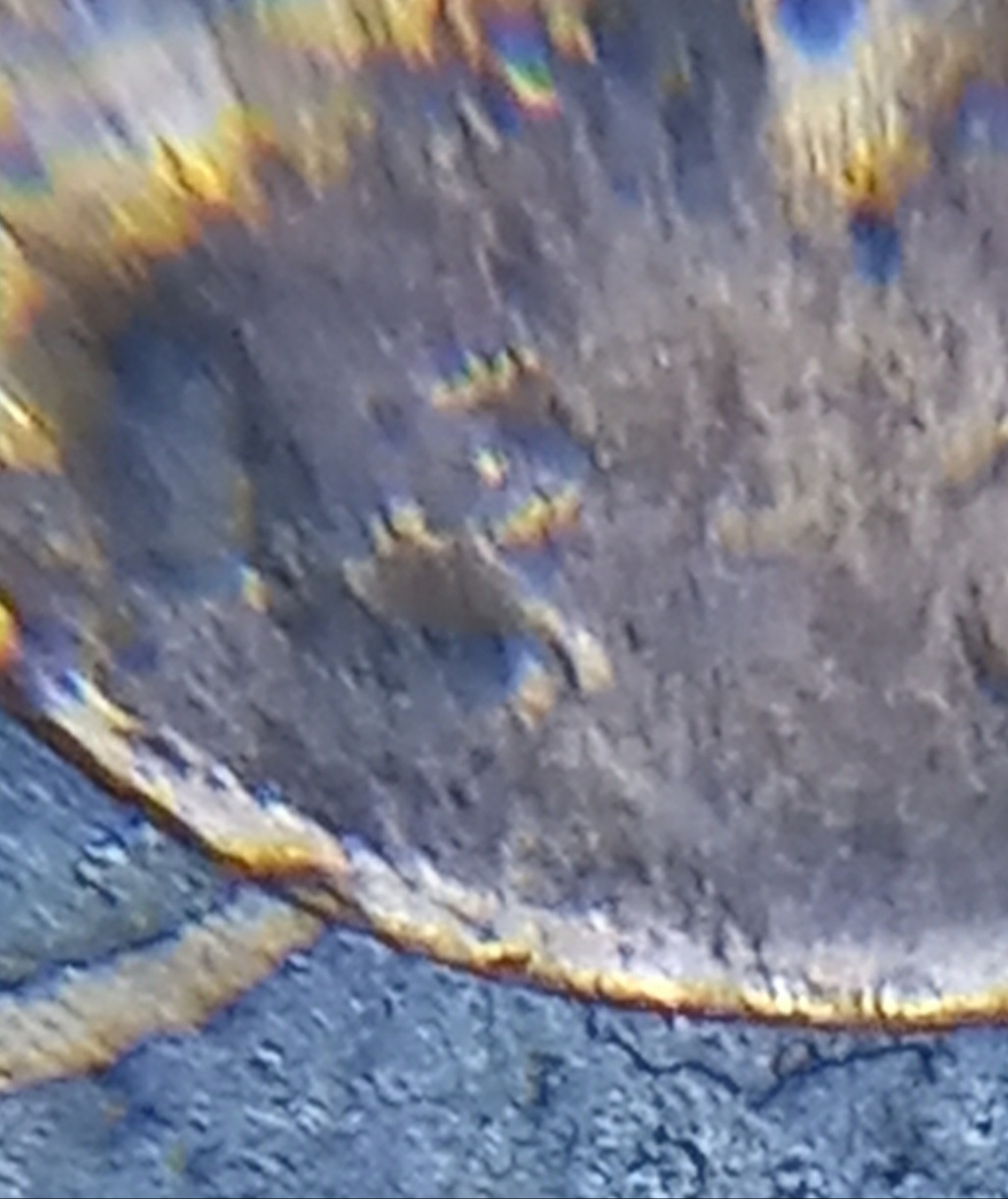 Need-Help-Identifying