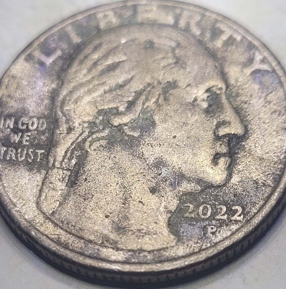 2022-P-Sally-Ride-Possible-Error?