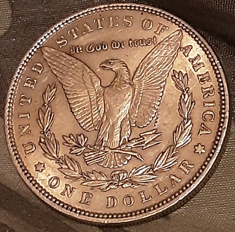 1896-P-Morgan:-Local-Coin-Shop-Tested-This-Thing-As-Real,-But-What-Kind-Of-Error-Would-This-Be?