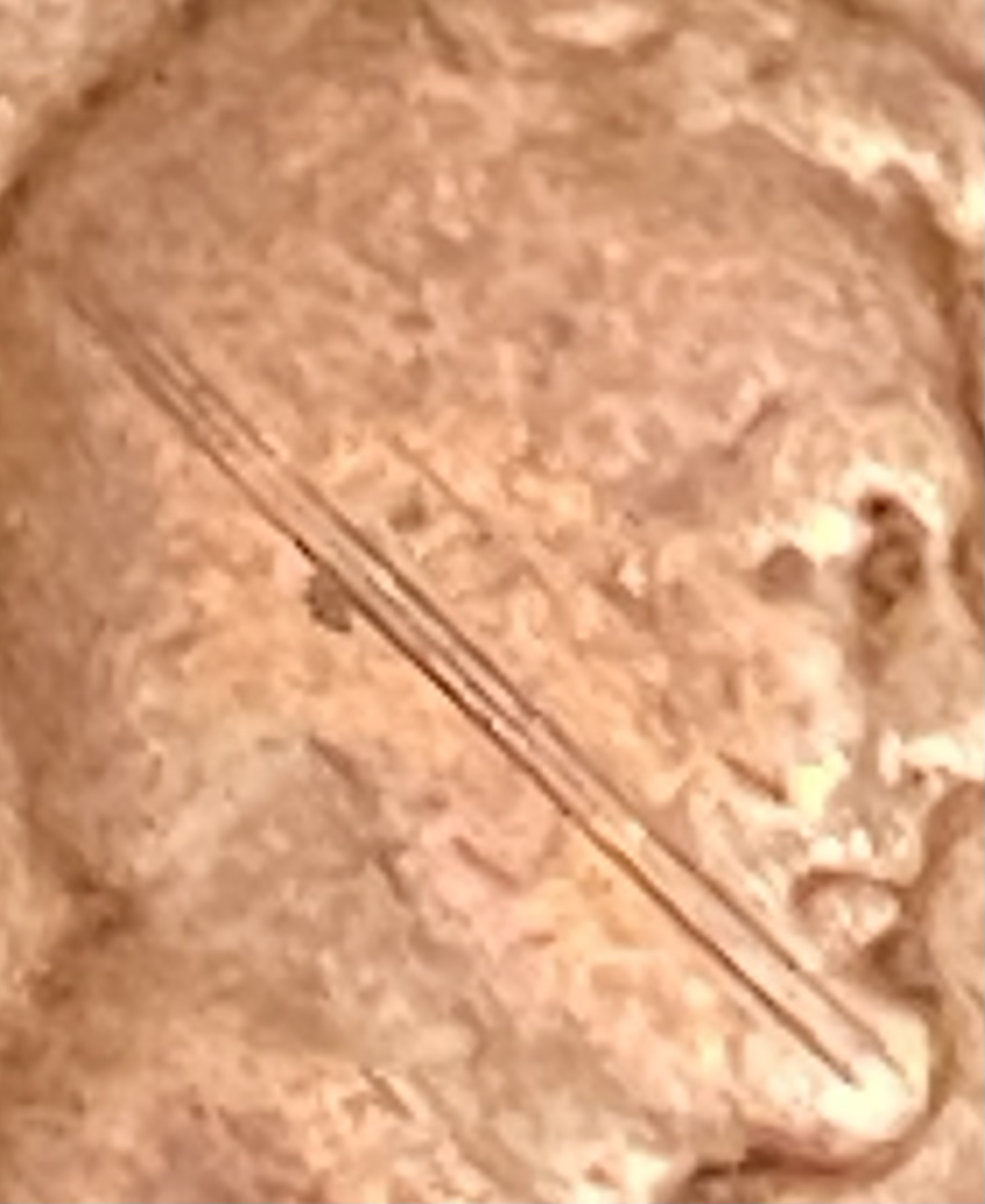 1918-Wheat-Penny.-Double-Die-And-Very-Unique-Die-Cracks.