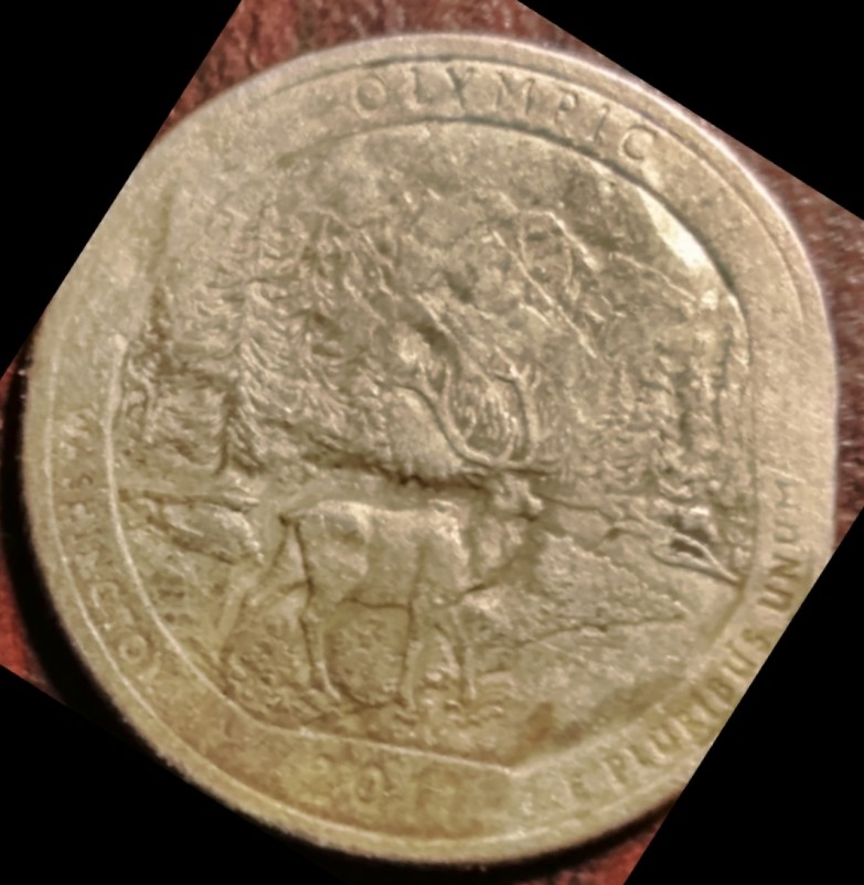 Olympic-Washington-State-Quarter-Fault?