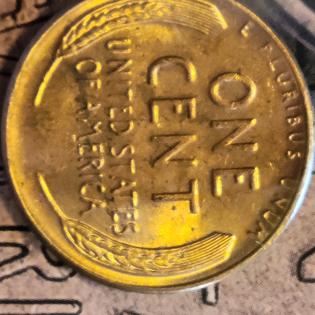 Feeling-Pretty-Lucky!