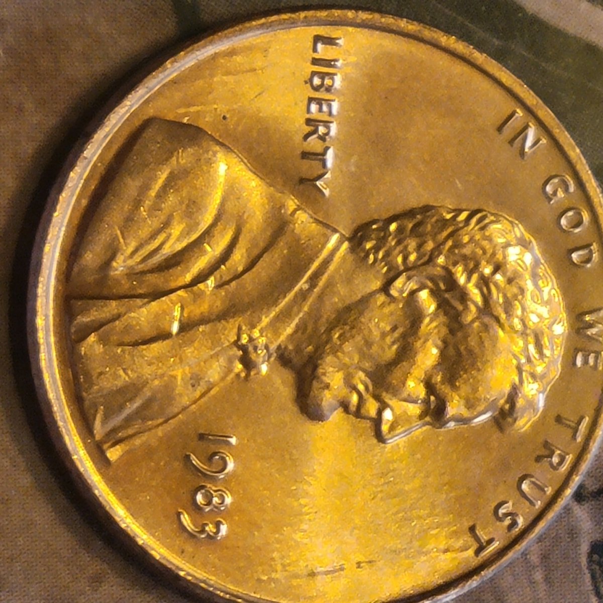 Feeling-Pretty-Lucky!