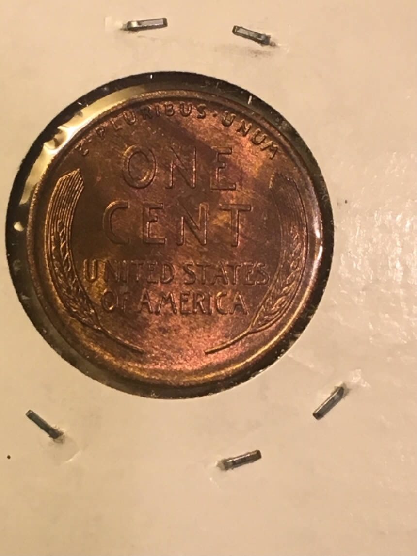 Anyone-Wood-Grain-Toning-Collectors?---Post-Yours!