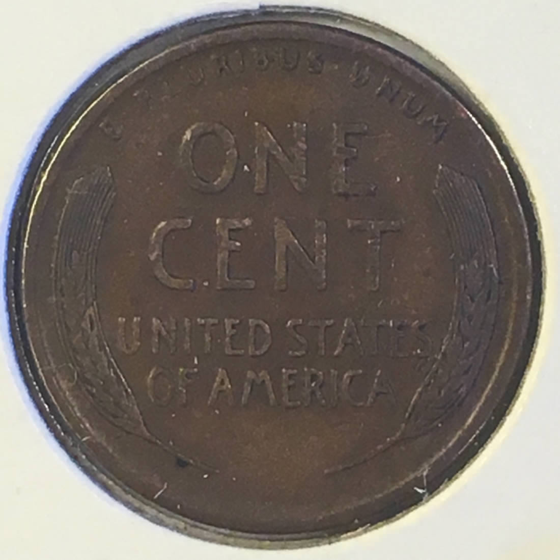 Lot-Of-Wheat-Pennies-To-Grade!edit-Removed-Most-Of-The-Coins
