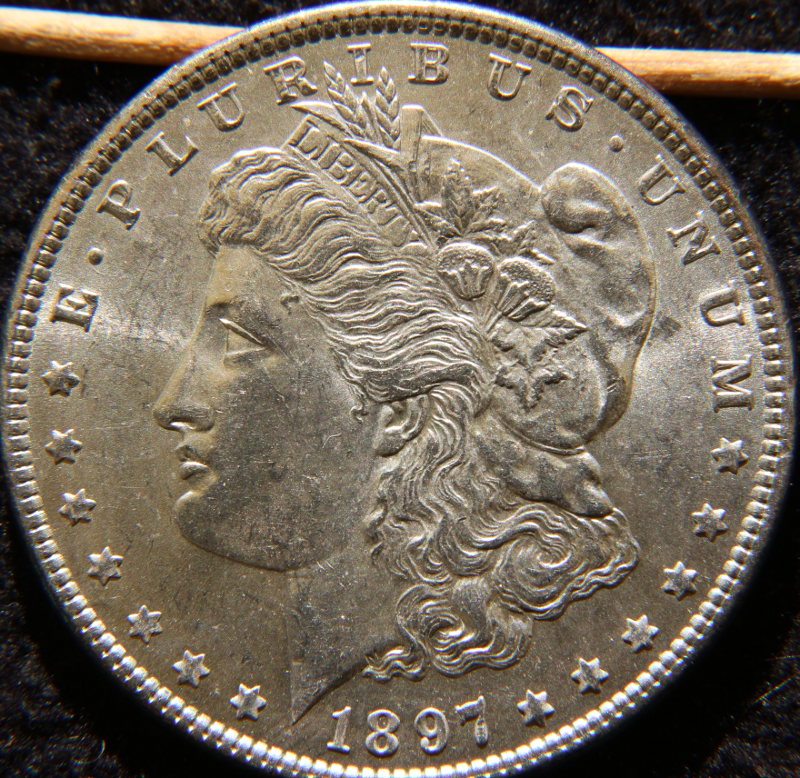 1897-Morgan-For-Grading,-Please---Tarnished-Edges?