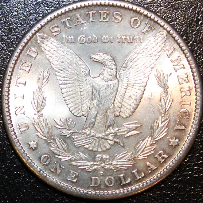 1881-S-Morgan-For-Opinions