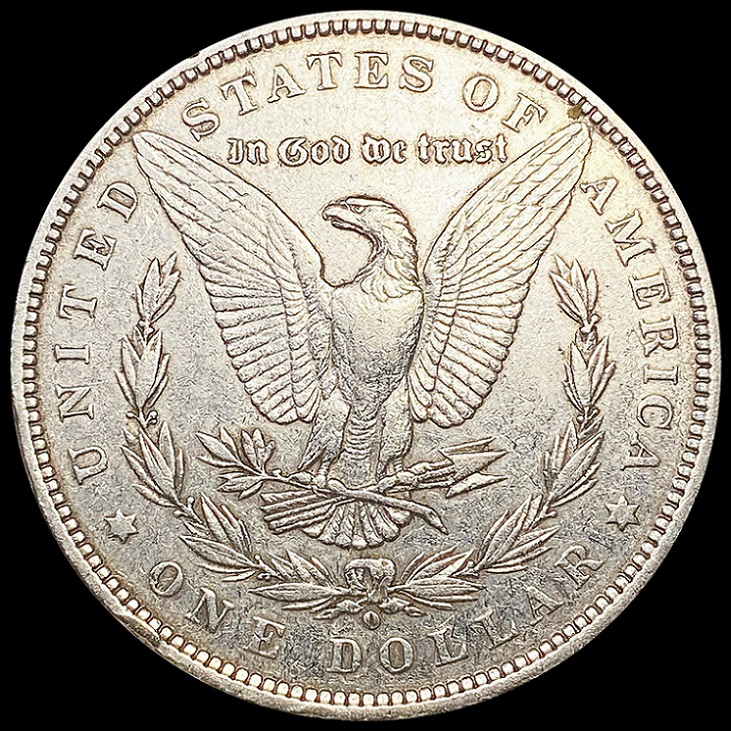 28-Days-Of-The-Morgan-Dollars-Part-5