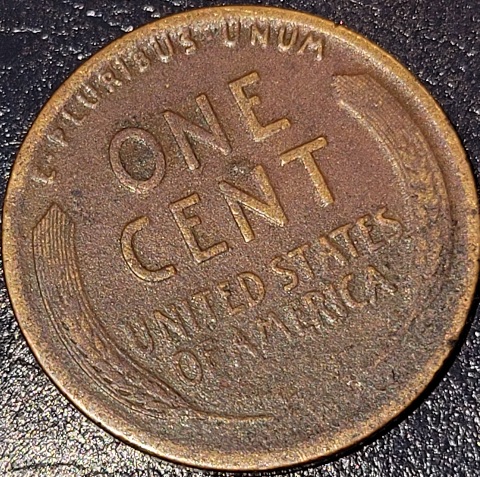 1913-D-Wheat-Cent,-Just-Curious