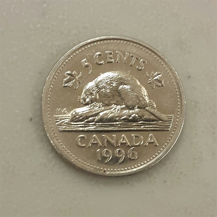 Did-I-Find-A-1996-Attached-6-Nickel?