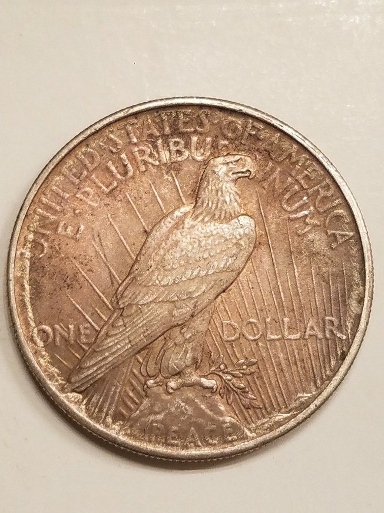 Options-For-These-Morgans-And-Peace-Dollars