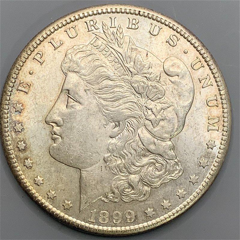1899-S-Morgan-Dollar-Grade-Request