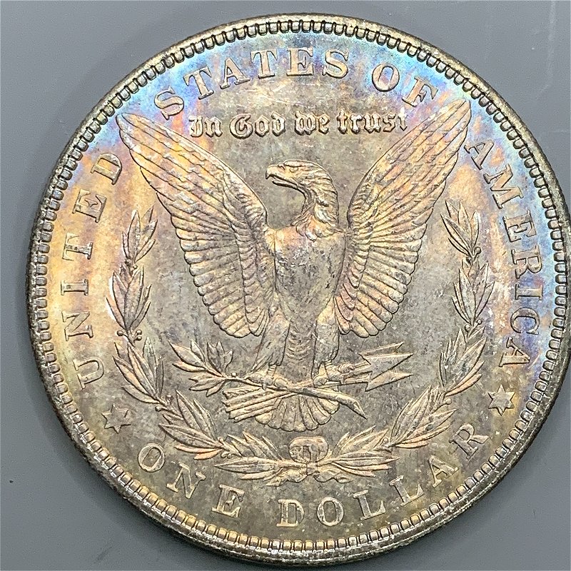 1903-Toned-Morgan-Dollar