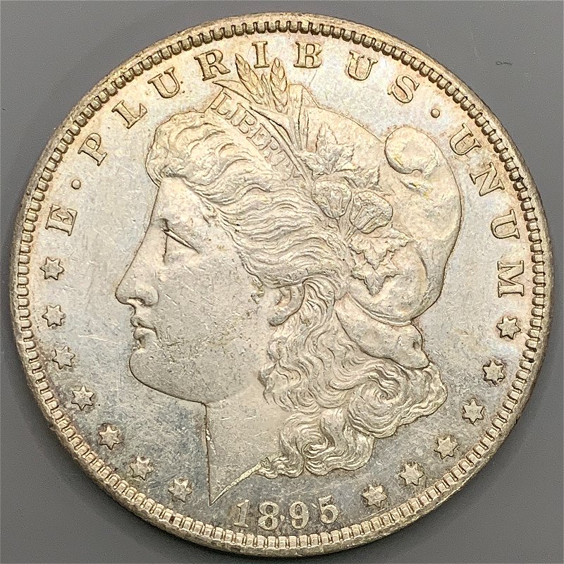 1895-S-Morgan-Dollar-Grade-Request