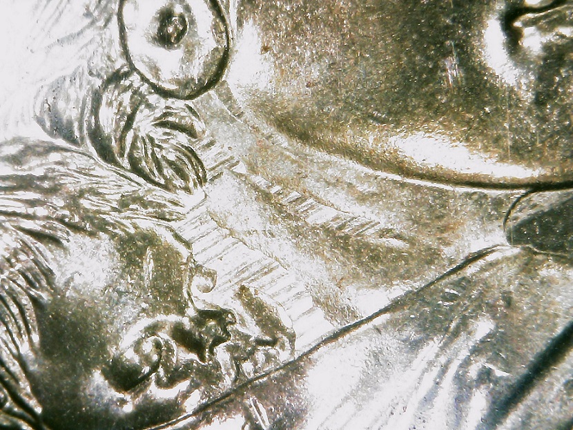 2010-P-Sacagawea-Error-On-Neck