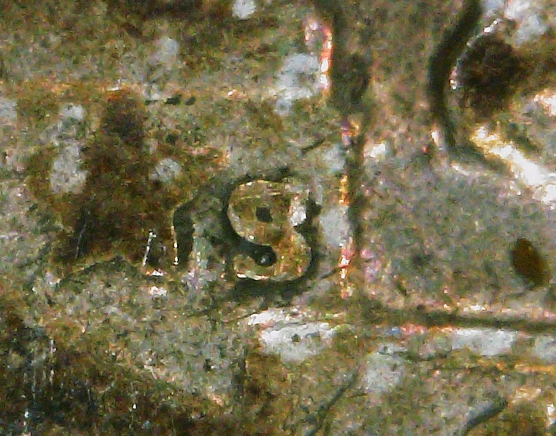 1928-S-Standing-Liberty-Quarter-Inverted-Mint-Mark