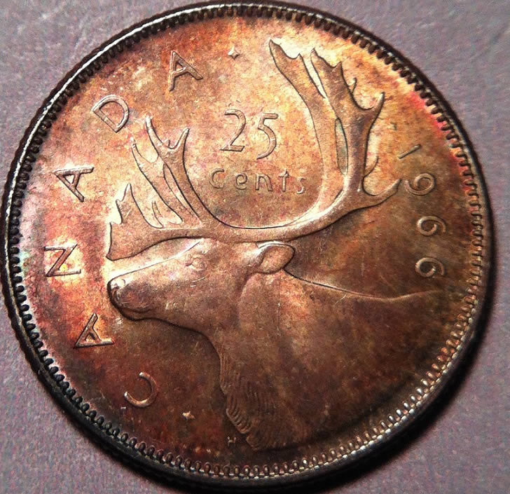 Eye-Candy-Corner:-Post-Your-Toned-Coins!