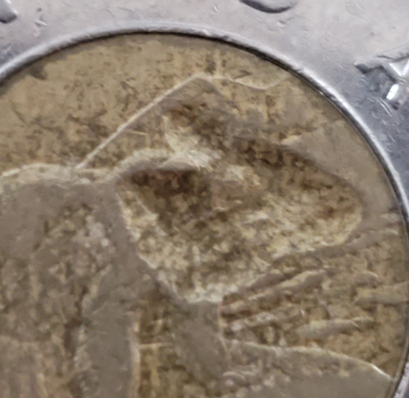 1996-Toonie,-Mint-Error-Or-Man-Made?